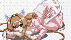 Nekomimi animal ears Seto