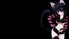 Nekomimi animal ears Simple