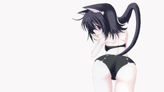 Nekomimi animal ears Simple