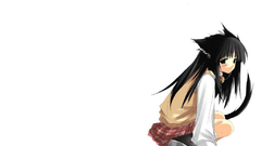 Nekomimi animal ears Simple