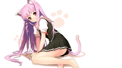 Nekomimi animal ears Simple