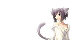 Nekomimi animal ears Simple