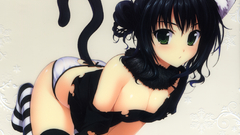 Nekomimi animal ears simple