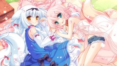 Nekomimi animal ears tails cuffs