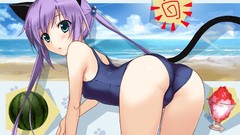 Nekomimi animal ears tales