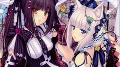 Nekomimi animal ears thigh