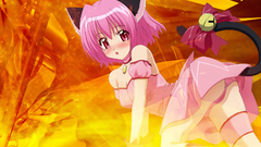 Nekomimi animal ears Tokyo