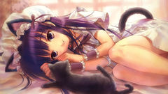 Nekomimi animal ears tsukuyomi