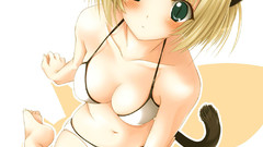 Nekomimi anime girls