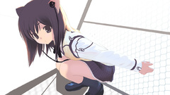 Nekomimi anime girls