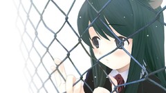 Nekomimi anime girls