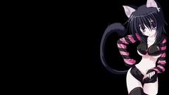 Nekomimi Anime Simple Background