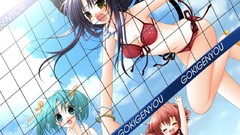 Nekomimi Anime swimsuits pure