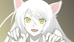 Nekomimi bakemonogatari animal ears