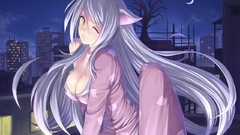 Nekomimi bakemonogatari hanekawa tsubasa