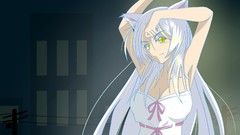 Nekomimi bakemonogatari hanekawa tsubasa