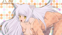 Nekomimi bakemonogatari hanekawa tsubasa