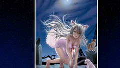 Nekomimi bakemonogatari hanekawa tsubasa