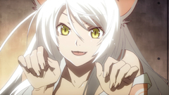 Nekomimi bakemonogatari hanekawa tsubasa