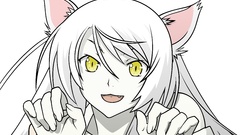 Nekomimi bakemonogatari transparent animal