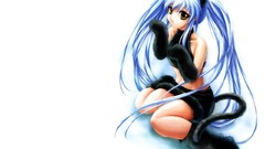 Nekomimi blue hair Anime