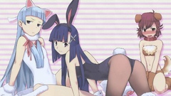 Nekomimi bunny girls animal