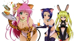 Nekomimi bunny girls green
