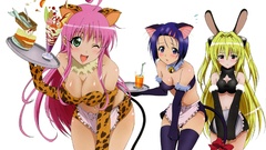 Nekomimi bunny girls to