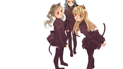 Nekomimi catgirls nekogirls Anime