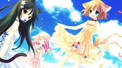 Nekomimi hyuuga hinata pure