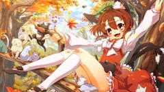 Nekomimi konpaku youmu animal