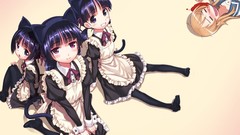 Nekomimi kousaka kirino gokou