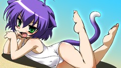 Nekomimi kyouran kazoku nikki