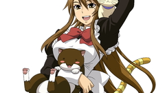 Nekomimi nyan koi Anime