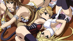 Nekomimi nyan koi Mizuno