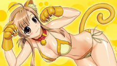 Nekomimi nyan koi Mizuno