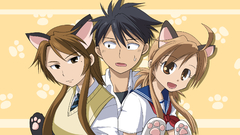 Nekomimi nyan koi Mizuno