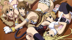 Nekomimi nyan koi Mizuno