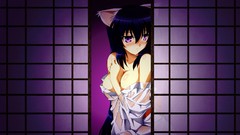 Nekomimi Omamori Himari Noihara Himari