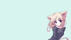 Nekomimi pink hair animal