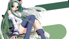 Nekomimi the melancholy of