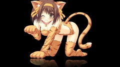 Nekomimi the melancholy of