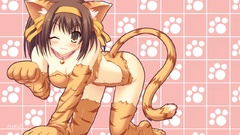 Nekomimi the melancholy of