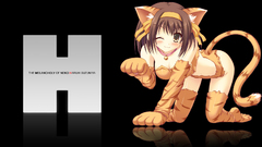 Nekomimi the melancholy of