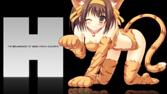 Nekomimi the melancholy of