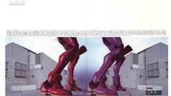 Neon genesis evangelion Anime