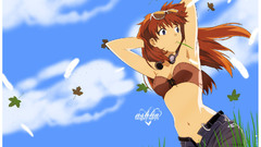 Neon genesis evangelion asuka