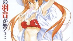 Neon genesis evangelion asuka