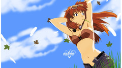 Neon genesis evangelion asuka