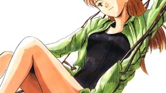 Neon genesis evangelion asuka